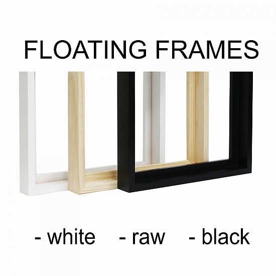RAW timber, WHITE, BLACK, Floating Frames (shadow box frame) DIY Canvas kit
