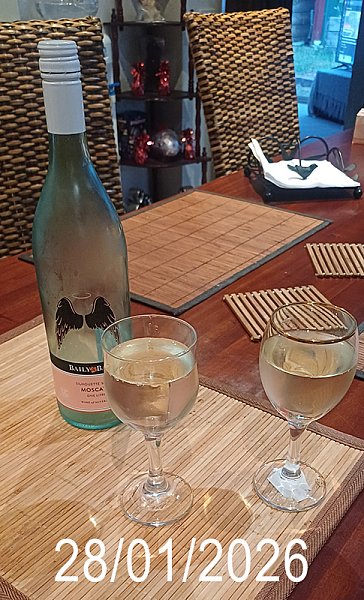 20260128_201335 copy.jpg